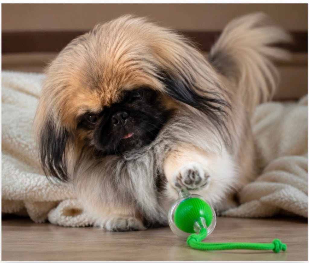 Interactive Pet Toy Ball with Rope