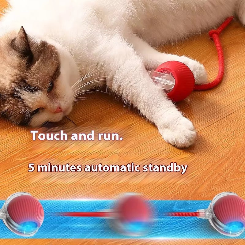 Interactive Pet Toy Ball with Rope