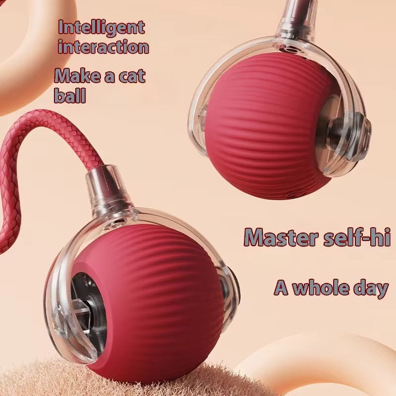 Interactive Pet Toy Ball with Rope