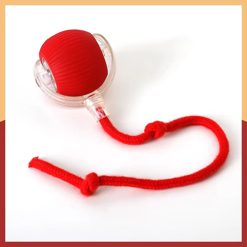 Interactive Pet Toy Ball with Rope