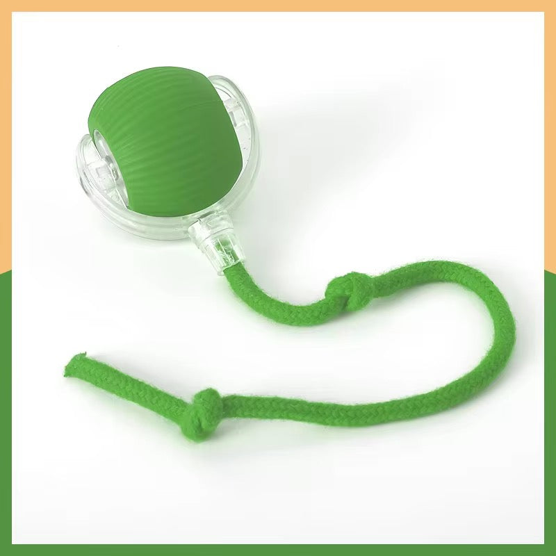 Interactive Pet Toy Ball with Rope