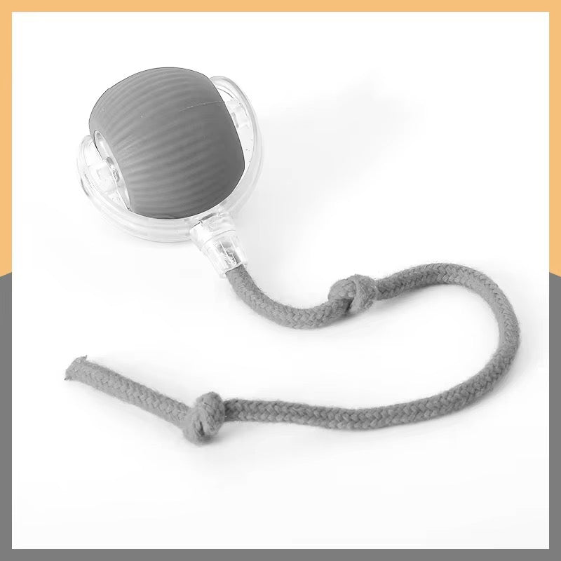Interactive Pet Toy Ball with Rope