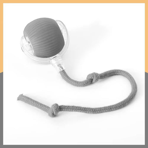 Interactive Pet Toy Ball with Rope
